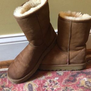 Classic short uggs